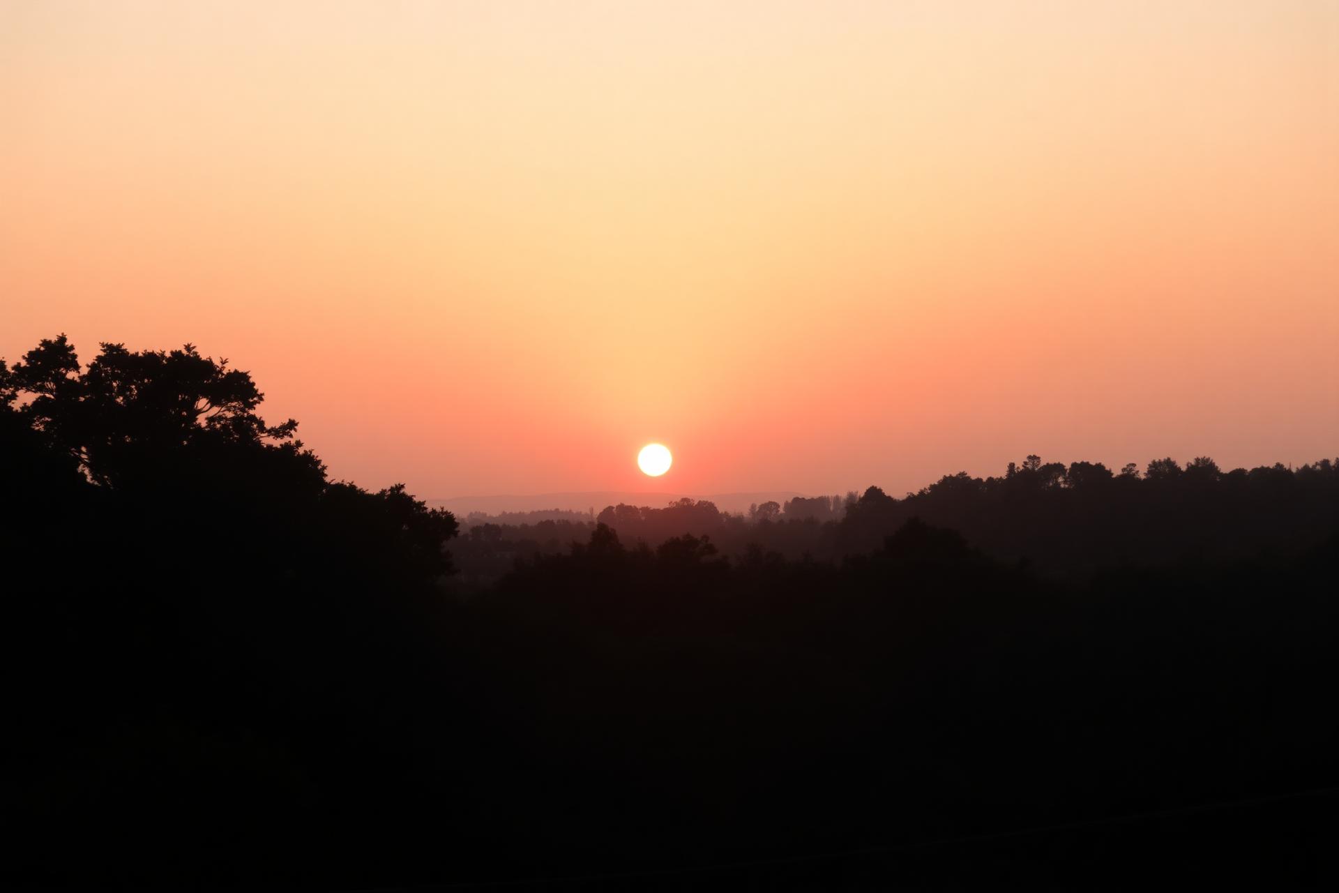 Warm sunset over a natural park
